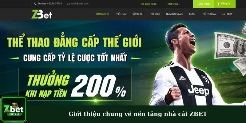 Giới thiệu chung về nền tảng nhà cái ZBET